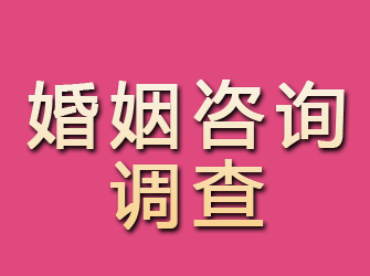 平顶山婚姻咨询调查