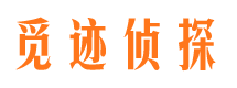 平顶山出轨取证